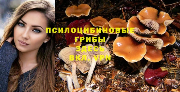 прущая мука Алексин