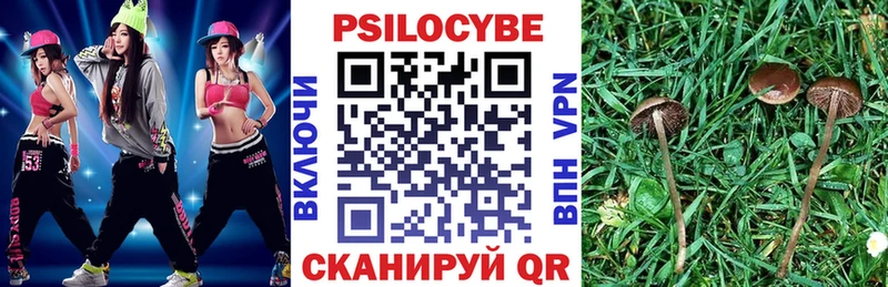 Псилоцибиновые грибы мухоморы  Торопец 